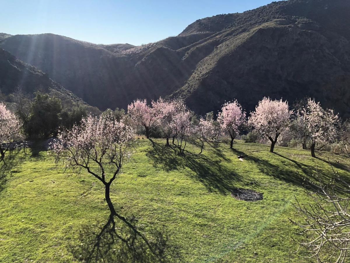 فيلا Casa Carmela, Rural House With Spectacular Views, In An Exquisite Area Atalbeitar المظهر الخارجي الصورة