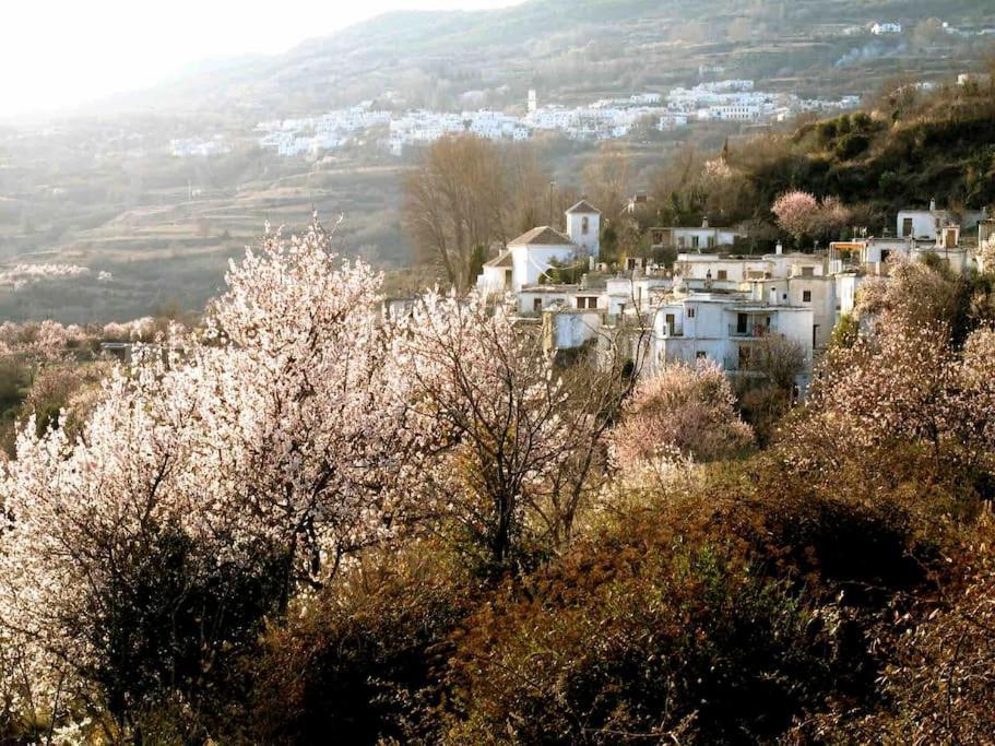 فيلا Casa Carmela, Rural House With Spectacular Views, In An Exquisite Area Atalbeitar المظهر الخارجي الصورة