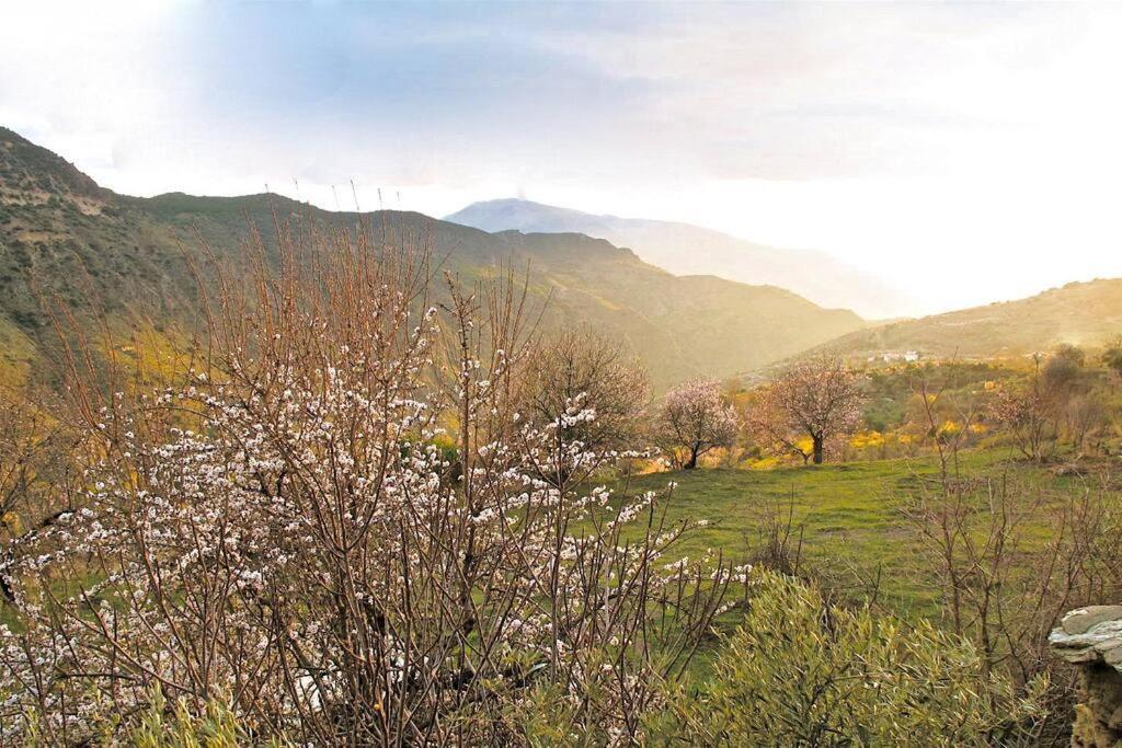 فيلا Casa Carmela, Rural House With Spectacular Views, In An Exquisite Area Atalbeitar المظهر الخارجي الصورة