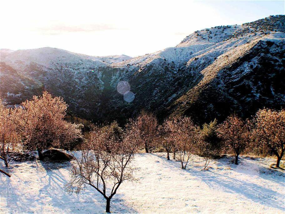 فيلا Casa Carmela, Rural House With Spectacular Views, In An Exquisite Area Atalbeitar المظهر الخارجي الصورة