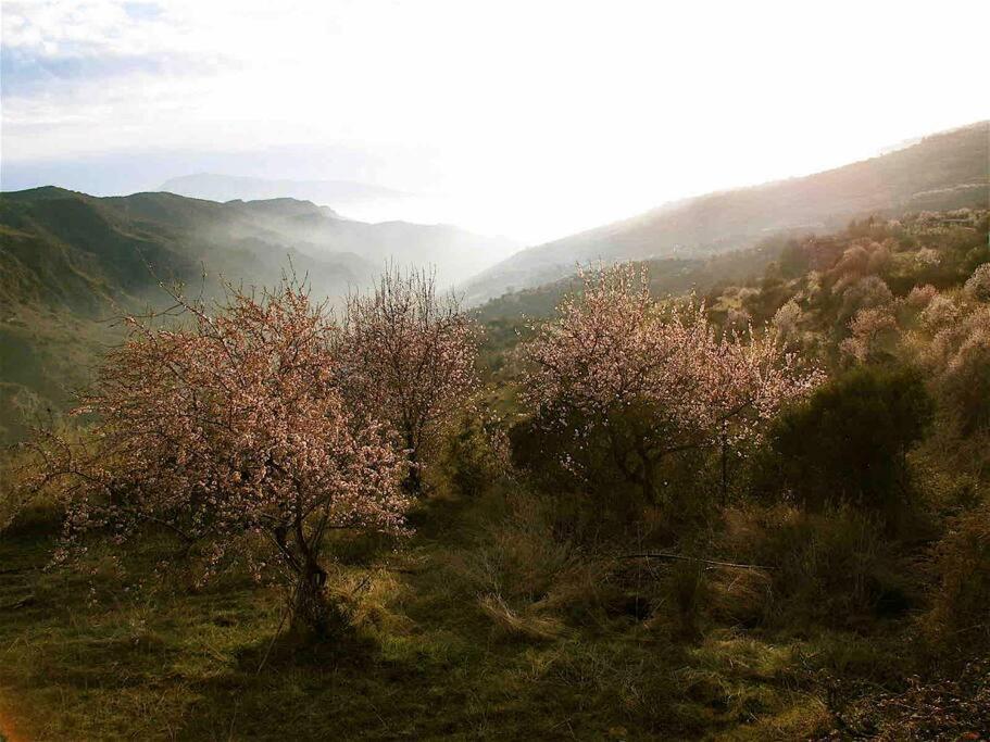 فيلا Casa Carmela, Rural House With Spectacular Views, In An Exquisite Area Atalbeitar المظهر الخارجي الصورة