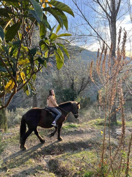 فيلا Casa Carmela, Rural House With Spectacular Views, In An Exquisite Area Atalbeitar المظهر الخارجي الصورة